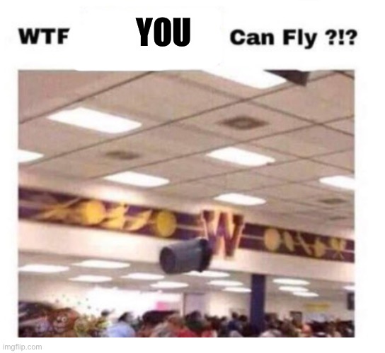 ? | YOU | image tagged in wtf --------- can fly | made w/ Imgflip meme maker