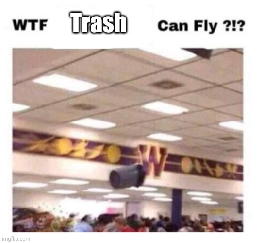 WTF --------- Can Fly ?!? | Trash | image tagged in wtf --------- can fly,antimeme | made w/ Imgflip meme maker