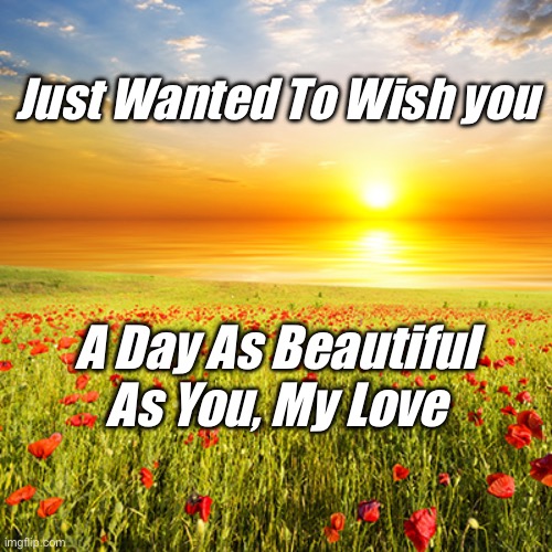 Sunset Love | Just Wanted To Wish you; A Day As Beautiful As You, My Love | image tagged in beautiful day,love | made w/ Imgflip meme maker