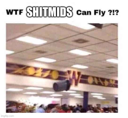WTF --------- Can Fly ?!? | SHITMIDS | image tagged in wtf --------- can fly | made w/ Imgflip meme maker