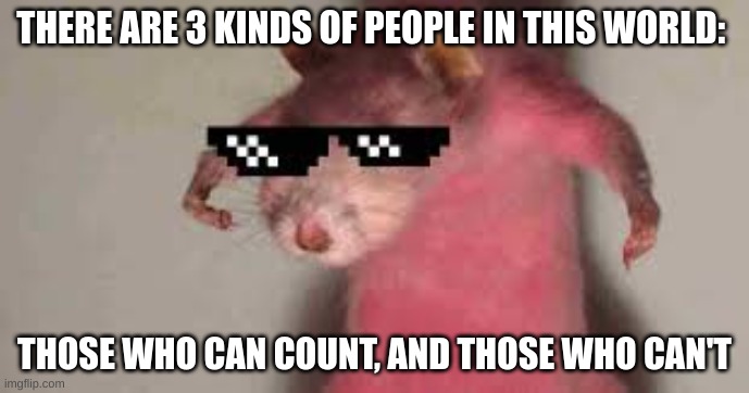 Do you get it yet? | THERE ARE 3 KINDS OF PEOPLE IN THIS WORLD:; THOSE WHO CAN COUNT, AND THOSE WHO CAN'T | image tagged in funny picture,funny,memes | made w/ Imgflip meme maker