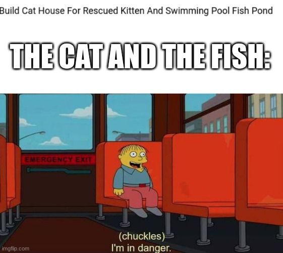 There is no way those two can go well together | THE CAT AND THE FISH: | image tagged in i'm in danger blank place above | made w/ Imgflip meme maker