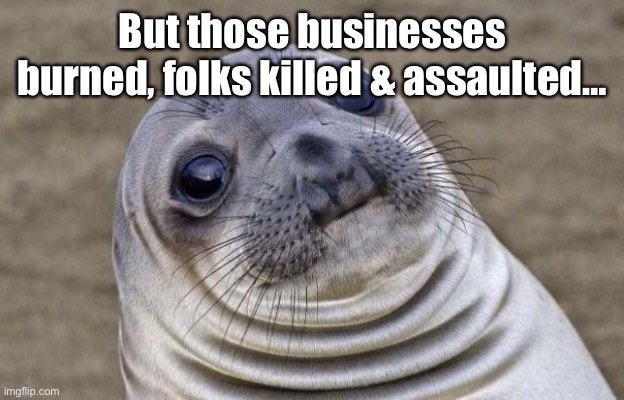 Awkward Moment Sealion Meme | But those businesses burned, folks killed & assaulted… | image tagged in memes,awkward moment sealion | made w/ Imgflip meme maker
