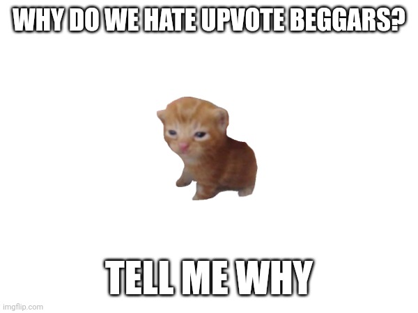 Tell us why | WHY DO WE HATE UPVOTE BEGGARS? TELL ME WHY | image tagged in upvote begging | made w/ Imgflip meme maker