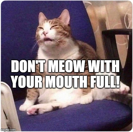 Fat Cat | DON'T MEOW WITH YOUR MOUTH FULL! | image tagged in fat cat | made w/ Imgflip meme maker