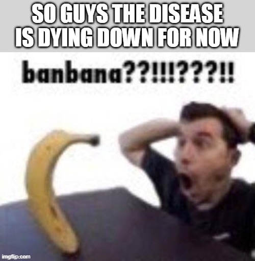 banbana??!!!???!! | SO GUYS THE DISEASE IS DYING DOWN FOR NOW | image tagged in banbana | made w/ Imgflip meme maker