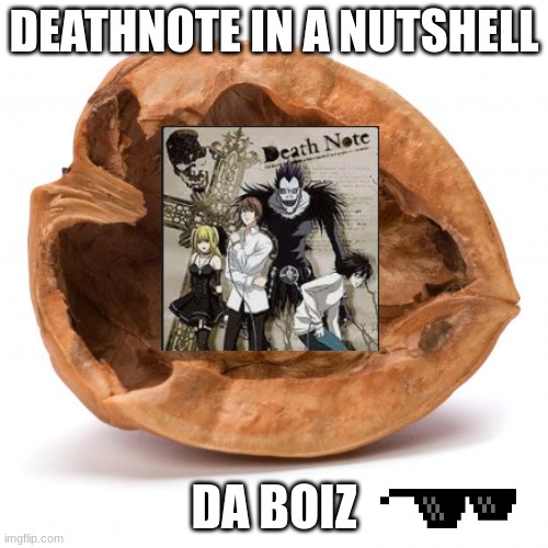 Nutshell | DEATHNOTE IN A NUTSHELL; DA BOIZ | image tagged in nutshell | made w/ Imgflip meme maker