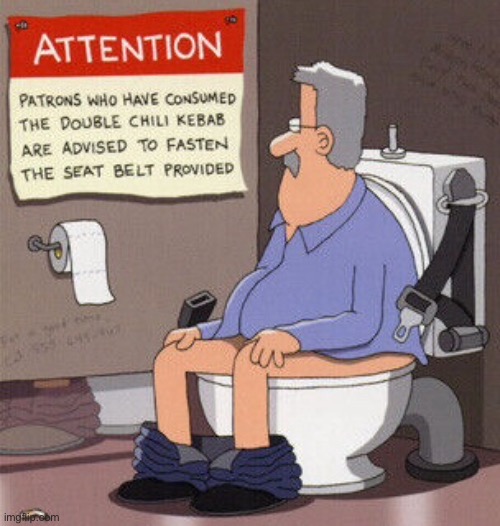 On the loo | image tagged in the loo,double chili kebabs,fasten seat belt,comics | made w/ Imgflip meme maker