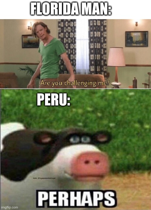 FLORIDA MAN: PERU: | image tagged in are you challenging me,perhaps cow | made w/ Imgflip meme maker
