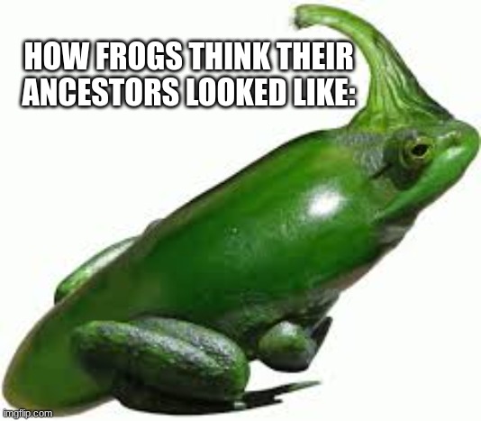 funny frogs | HOW FROGS THINK THEIR ANCESTORS LOOKED LIKE: | image tagged in memes | made w/ Imgflip meme maker