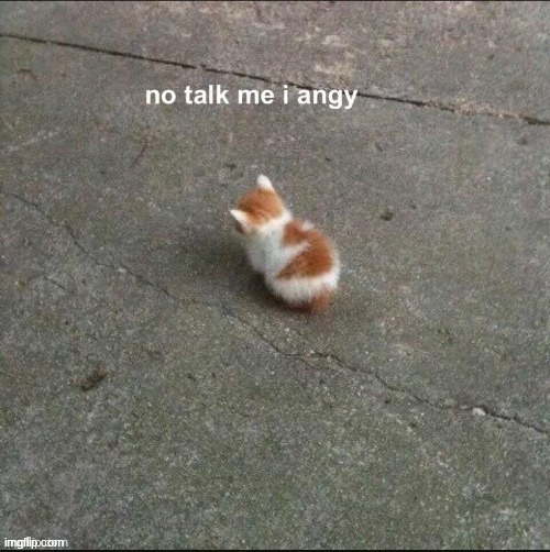 no talk to me i angy | image tagged in no talk to me i angy | made w/ Imgflip meme maker