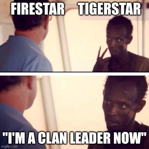 Captain Phillips - I'm The Captain Now Meme | FIRESTAR     TIGERSTAR; "I'M A CLAN LEADER NOW" | image tagged in memes,captain phillips - i'm the captain now | made w/ Imgflip meme maker