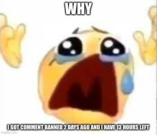 Crying emoji | WHY; I GOT COMMENT BANNED 2 DAYS AGO AND I HAVE 13 HOURS LEFT | image tagged in crying emoji | made w/ Imgflip meme maker