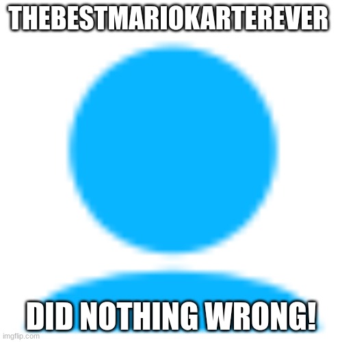 STAND FOR THEBESTMARIOKARTEREVER! | THEBESTMARIOKARTEREVER; DID NOTHING WRONG! | image tagged in haters | made w/ Imgflip meme maker