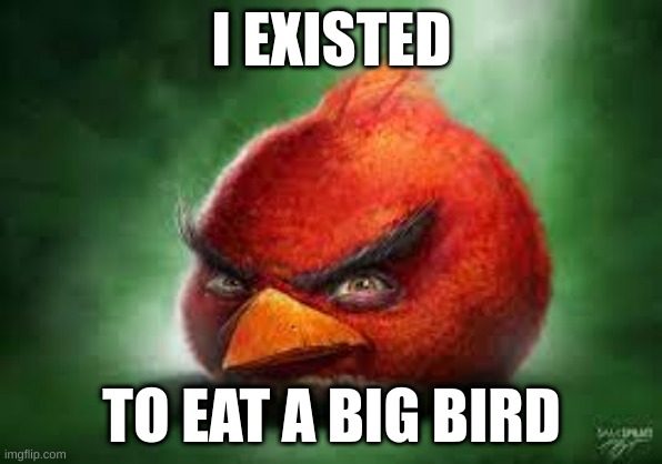 Realistic Red Angry Birds | I EXISTED; TO EAT A BIG BIRD | image tagged in realistic red angry birds | made w/ Imgflip meme maker