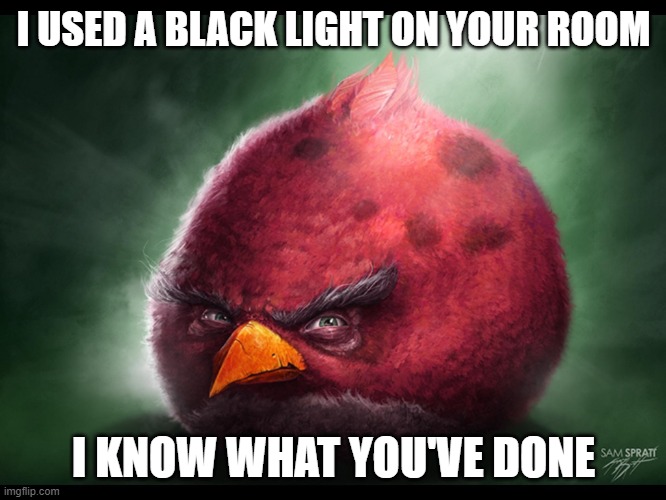 . | I USED A BLACK LIGHT ON YOUR ROOM; I KNOW WHAT YOU'VE DONE | image tagged in realistic angry bird big red | made w/ Imgflip meme maker