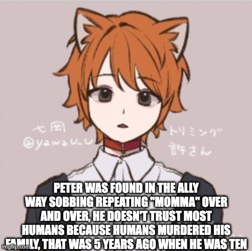 PETER WAS FOUND IN THE ALLY WAY SOBBING REPEATING "MOMMA" OVER AND OVER, HE DOESN'T TRUST MOST HUMANS BECAUSE HUMANS MURDERED HIS FAMILY, THAT WAS 5 YEARS AGO WHEN HE WAS TEN | made w/ Imgflip meme maker