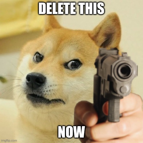 Doge holding a gun | DELETE THIS NOW | image tagged in doge holding a gun | made w/ Imgflip meme maker