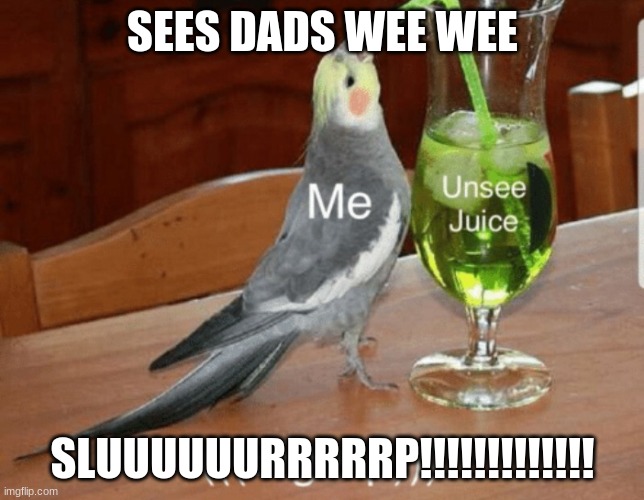 Unsee juice | SEES DADS WEE WEE; SLUUUUUURRRRRP!!!!!!!!!!!!! | image tagged in unsee juice | made w/ Imgflip meme maker