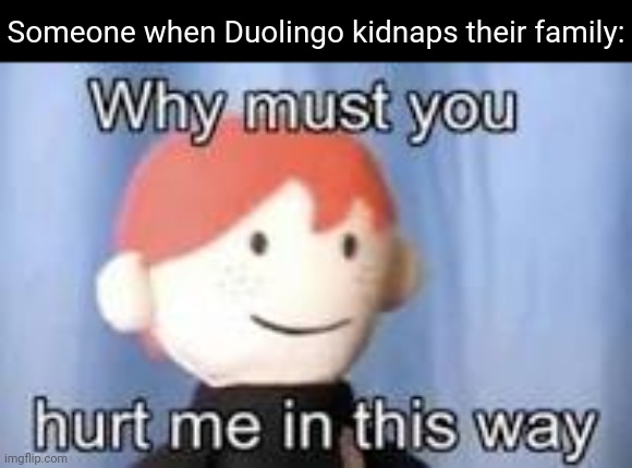 Why must you hurt me in this way | Someone when Duolingo kidnaps their family: | image tagged in why must you hurt me in this way,duolingo | made w/ Imgflip meme maker
