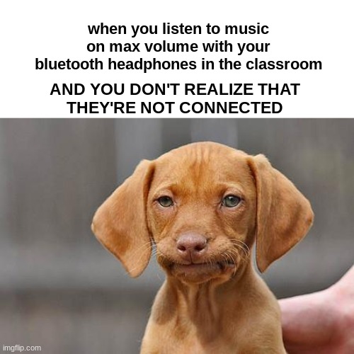 has this ever happened to you? | when you listen to music on max volume with your bluetooth headphones in the classroom; AND YOU DON'T REALIZE THAT
THEY'RE NOT CONNECTED | image tagged in dissapointed puppy,memes | made w/ Imgflip meme maker