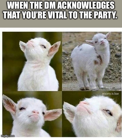 Proud lamb | WHEN THE DM ACKNOWLEDGES THAT YOU’RE VITAL TO THE PARTY. | image tagged in proud lamb | made w/ Imgflip meme maker