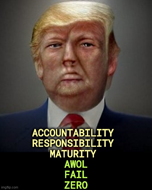 ACCOUNTABILITY
RESPONSIBILITY
MATURITY; AWOL
FAIL
ZERO | image tagged in trump,responsibility,maturity,zero,fail,failure | made w/ Imgflip meme maker