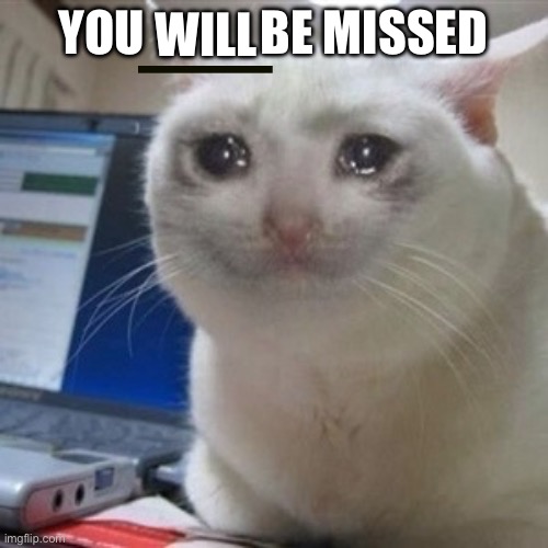 Crying cat | YOU            BE MISSED WILL | image tagged in crying cat | made w/ Imgflip meme maker