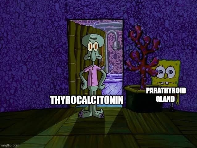 THYROCALCITONIN; PARATHYROID GLAND | made w/ Imgflip meme maker