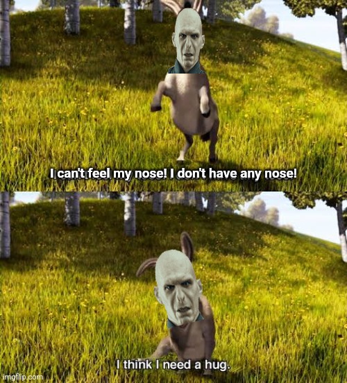 Nose! | I can't feel my nose! I don't have any nose! | image tagged in donkey,shrek,voldemort,harry potter,nose,toes | made w/ Imgflip meme maker