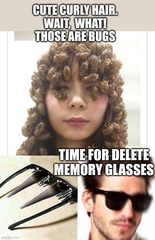 Hair Infestation | CUTE CURLY HAIR.
 WAIT,  WHAT! 
THOSE ARE BUGS; TIME FOR DELETE MEMORY GLASSES | image tagged in hair,curly,bugs | made w/ Imgflip meme maker