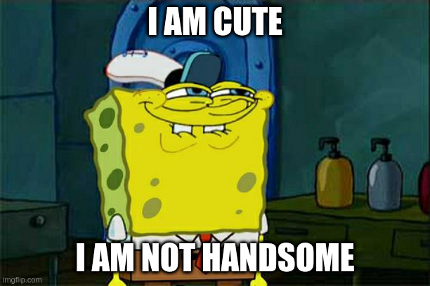 i am not handsome | I AM CUTE; I AM NOT HANDSOME | image tagged in memes,don't you squidward | made w/ Imgflip meme maker