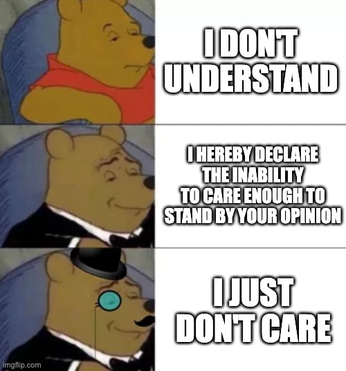Fancy pooh | I DON'T UNDERSTAND; I HEREBY DECLARE THE INABILITY TO CARE ENOUGH TO STAND BY YOUR OPINION; I JUST DON'T CARE | image tagged in fancy pooh | made w/ Imgflip meme maker