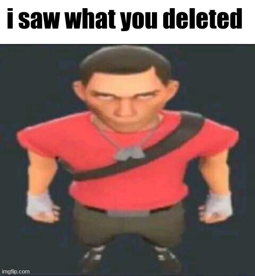 i saw what you deleted scout | image tagged in i saw what you deleted scout | made w/ Imgflip meme maker