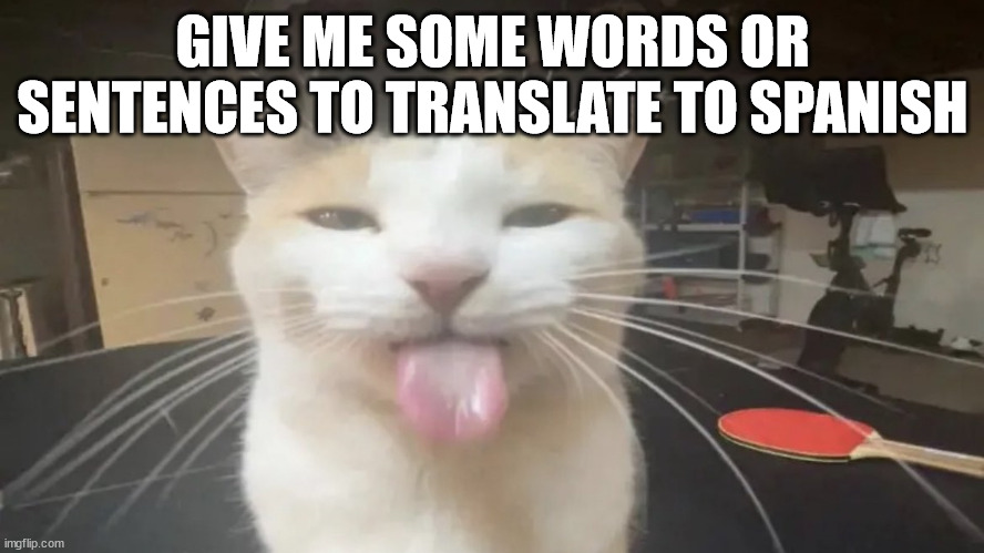 Bleh Cat | GIVE ME SOME WORDS OR SENTENCES TO TRANSLATE TO SPANISH | image tagged in bleh cat | made w/ Imgflip meme maker