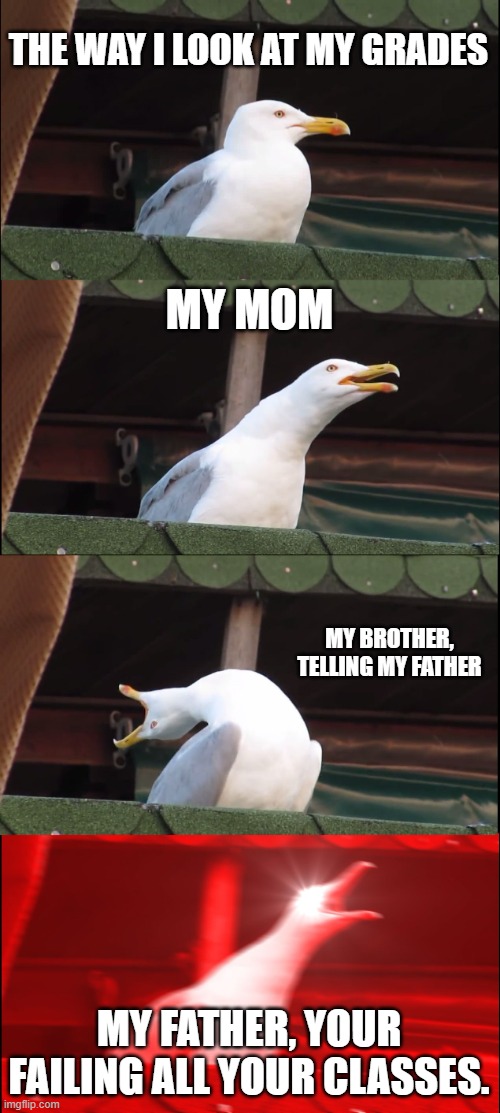 Inhaling Seagull Meme | THE WAY I LOOK AT MY GRADES; MY MOM; MY BROTHER, TELLING MY FATHER; MY FATHER, YOUR FAILING ALL YOUR CLASSES. | image tagged in memes,inhaling seagull | made w/ Imgflip meme maker