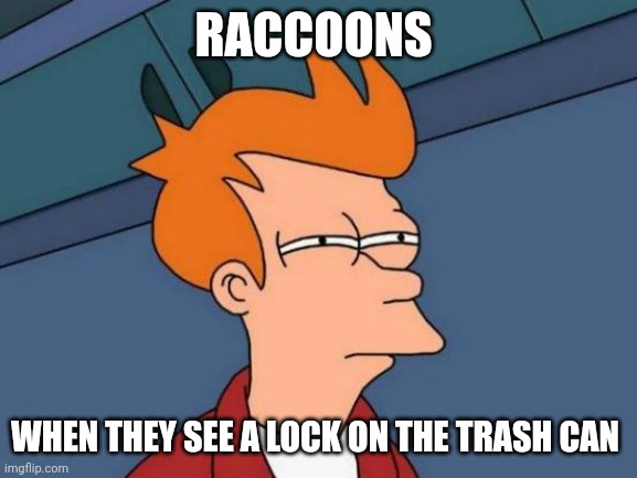 Why can't I open the trash can??? | RACCOONS; WHEN THEY SEE A LOCK ON THE TRASH CAN | image tagged in memes,futurama fry | made w/ Imgflip meme maker