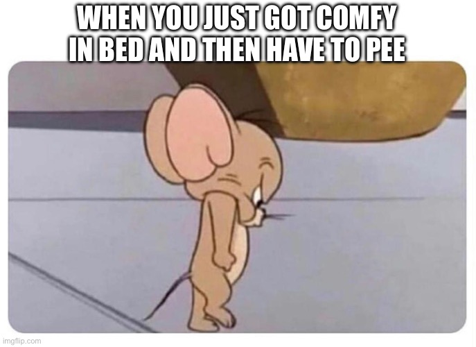 *very angery* | WHEN YOU JUST GOT COMFY IN BED AND THEN HAVE TO PEE | image tagged in angry jerry | made w/ Imgflip meme maker
