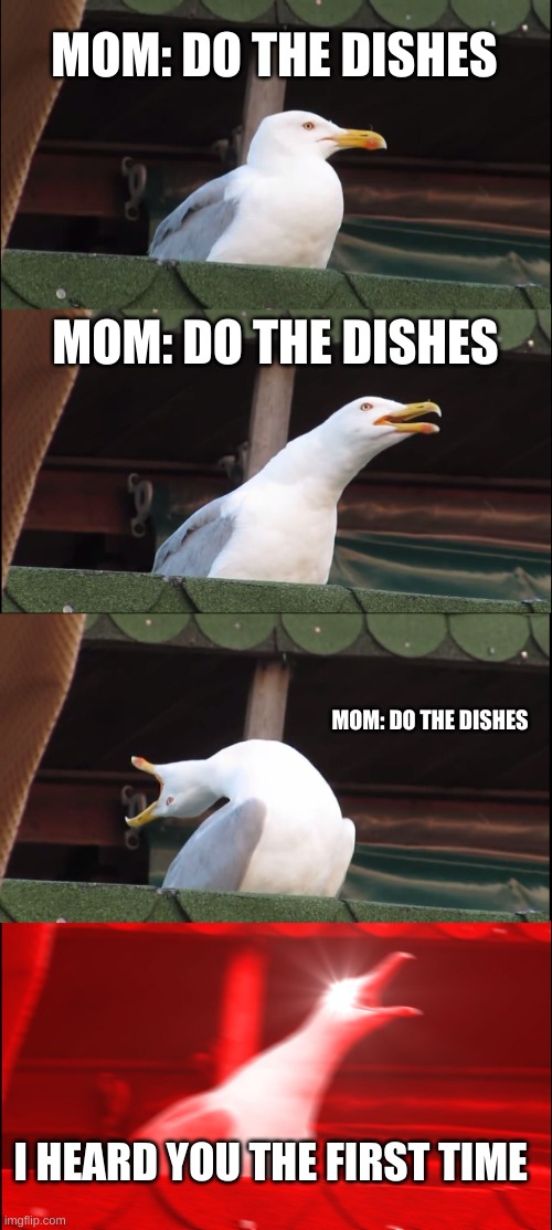 fr why are all moms like this | MOM: DO THE DISHES; MOM: DO THE DISHES; MOM: DO THE DISHES; I HEARD YOU THE FIRST TIME | image tagged in memes,inhaling seagull | made w/ Imgflip meme maker