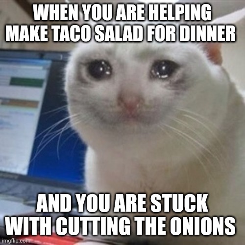 I don't like cutting onions | WHEN YOU ARE HELPING MAKE TACO SALAD FOR DINNER; AND YOU ARE STUCK WITH CUTTING THE ONIONS | image tagged in crying cat | made w/ Imgflip meme maker