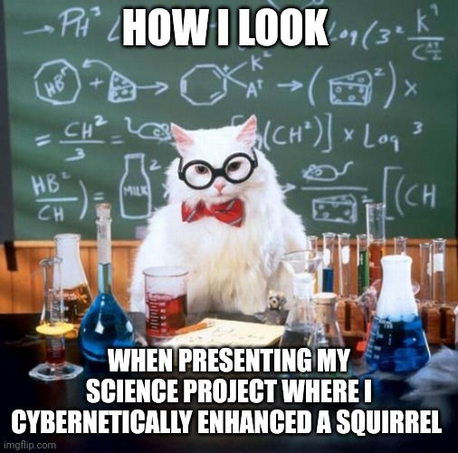 Presenting, cybernetic squirrels!!! | HOW I LOOK; WHEN PRESENTING MY SCIENCE PROJECT WHERE I CYBERNETICALLY ENHANCED A SQUIRREL | image tagged in memes,chemistry cat | made w/ Imgflip meme maker