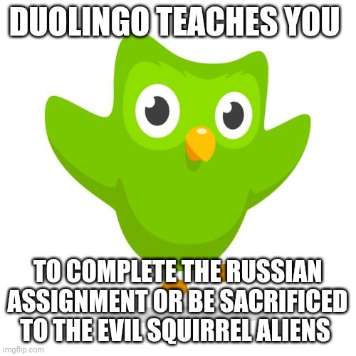 Do. Your. Russian. Assignment. Or be sacrificed to the squirrels | DUOLINGO TEACHES YOU; TO COMPLETE THE RUSSIAN ASSIGNMENT OR BE SACRIFICED TO THE EVIL SQUIRREL ALIENS | image tagged in things duolingo teaches you | made w/ Imgflip meme maker