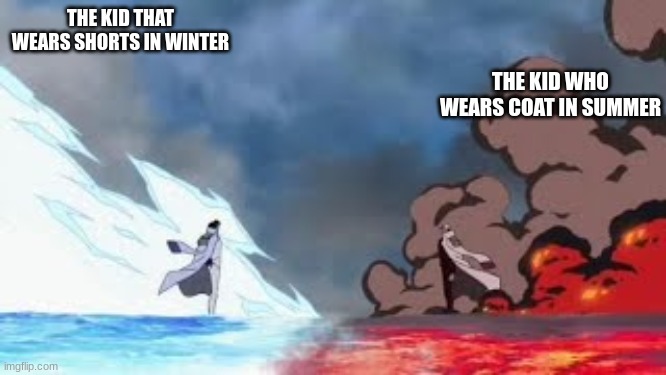 THE KID THAT WEARS SHORTS IN WINTER; THE KID WHO WEARS COAT IN SUMMER | image tagged in blank white template | made w/ Imgflip meme maker