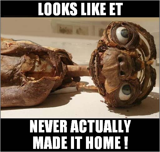 Spielberg Lied To Us ! | LOOKS LIKE ET; NEVER ACTUALLY MADE IT HOME ! | image tagged in steven spielberg,lies,et | made w/ Imgflip meme maker