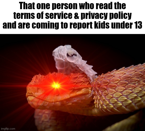 Had to do this for school, thought I might submit it | That one person who read the terms of service & privacy policy and are coming to report kids under 13 | image tagged in snake | made w/ Imgflip meme maker
