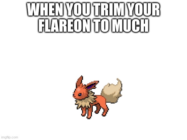 lol | WHEN YOU TRIM YOUR
FLAREON TO MUCH | made w/ Imgflip meme maker