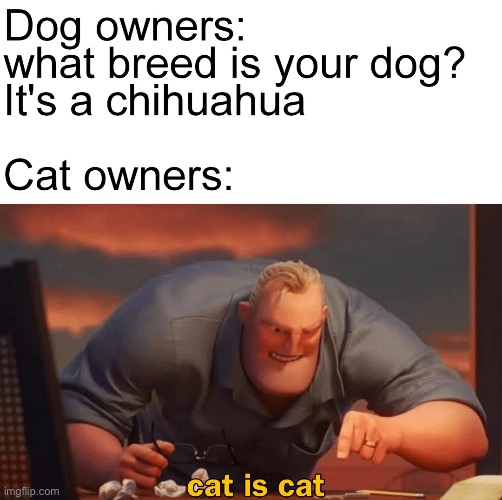 Cat is cat | image tagged in math is math,cat,cats,repost,memes,funny | made w/ Imgflip meme maker