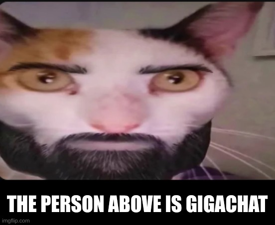 Gigacat | THE PERSON ABOVE IS GIGACHAT | image tagged in gigacat | made w/ Imgflip meme maker