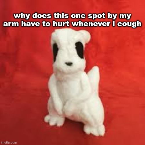 sgdhdnfnr | why does this one spot by my arm have to hurt whenever i cough | image tagged in sgdhdnfnr | made w/ Imgflip meme maker