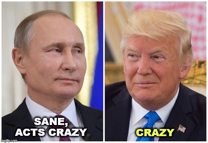 SANE,
ACTS CRAZY; CRAZY | image tagged in putin,sanity,trump,crazy | made w/ Imgflip meme maker